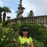  -,   , 53 ,   ,   , c 