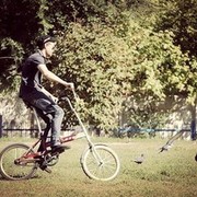 ���������� ������-��-����, ���� ������� ����, 36 ���, ������������ ��� ������, ����� � ���������, c�������� ���������