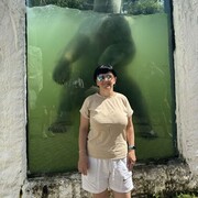 ���������� ����, ���� ������� ������, 44 ����, ������������ ��� ����� � ���������, c�������� ���������