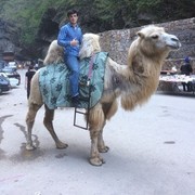 ���������� �������, ���� ������� ������, 29 ���, ������������ ��� ������, ����� � ���������, c�������� ���������