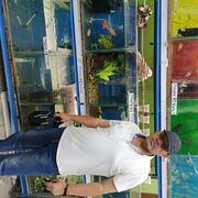  ,   , 54 ,   ,   