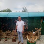  ,   , 44 ,   ,   , c , 