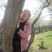  -,   , 53 ,     , c 