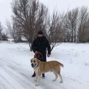 ���������� ������, ���� ������� �����, 31 ���, ������������ ��� ������, ����� � ���������