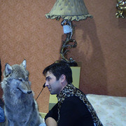  ,   , 43 ,     , c 