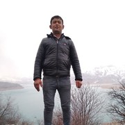 ���������� �������, ���� ������� Sardor, 31 ���, ������������ ��� ������, ����� � ���������, c�������� ���������