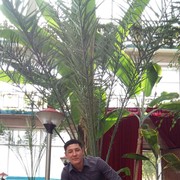  ,   , 40 ,  