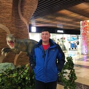 ���������� �����-���������, ���� ������� Tiger, 39 ���, ������������ ��� ������, ����� � ���������, ���������