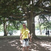  -,   , 49 ,   ,   