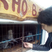 ���������� ������, ���� ������� ��������, 59 ���, ������������ ��� ������, ����� � ���������, c�������� ���������