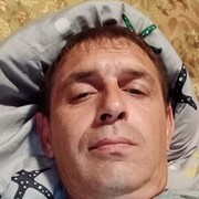  ,  , 43