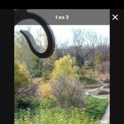   ,   , 52 ,   c 