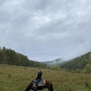 ���������� �����-���������, ���� ������� ����, 28 ���, ������������ ��� c�������� ���������