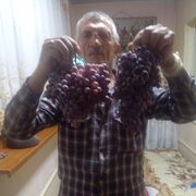 ���������� �������, ������� �������, 58