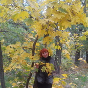 ���������� ������, ���� ������� ����, 49 ���, ������������ 