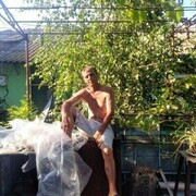  ,   , 50 ,   ,   