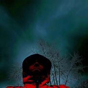  ,   Ro, 33 ,   ,   