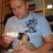 ���������� ����, ���� ������� Edgars, 49 ���, ������������ ��� ������