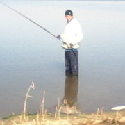 ���������� ���������, ���� ������� ������, 36 ���, ������������ ��� ������, ����� � ���������, c�������� ���������