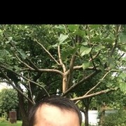 ���������� �������, ���� ������� ������, 35 ���, ������������ ��� ������, ����� � ���������, c�������� ���������, ���������