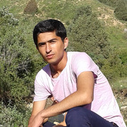 ���������� �������, ���� ������� ��������, 31 ���, ������������ ��� ����� � ���������, c�������� ���������