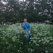 ���������� ������, ���� ������� ����, 62 ����, ������������ ��� ������, ����� � ���������, c�������� ���������