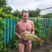 ���������� �����, ���� ������� ���������, 37 ���, ������������ ��� ������, ����� � ���������, c�������� ���������