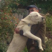 ���������� ��������, ���� ������� �����, 52 ����, ������������ ��� ������, ����� � ���������, c�������� ���������