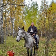 ���������� �������, ���� ������� �������, 51 ���, ������������ ��� ����� � ���������, c�������� ���������