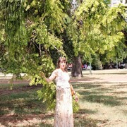  -,   , 53 ,   ,   , c , 