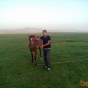 ���������� ������, ���� ������� MOSO, 33 ����, ������������ ��� ����� � ���������, c�������� ���������, ���������