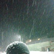 ���������� ��������, ���� ������� ������, 39 ���, ������������ ��� ������, ����� � ���������