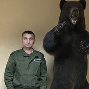 ���������� ������, ���� ������� �������, 43 ����, ������������ ��� ������, ����� � ���������