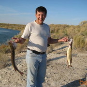 ���������� ������, ���� ������� �����, 51 ���, ������������ ��� ����� � ���������, c�������� ���������