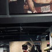 ���������� �������, ���� ����� ������, 24 ����, ������������ ��� ������, ����� � ���������