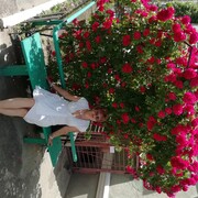   ,   , 59 ,   ,   