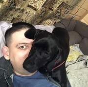 ���������� ������, ���� ������� ������, 39 ���, ������������ ��� ����� � ���������, c�������� ���������