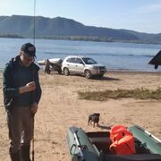 ���������� ��������, ���� ������� ������, 36 ���, ������������ ��� ������, ����� � ���������