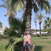  ,   , 52 ,   ,   , c , 