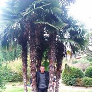  ,   Osman, 36 ,   