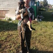  ,   , 55 ,   ,   