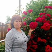 ���������� ������������, ���� ������� ������, 59 ���, ������������ ��� ����� � ���������, c�������� ���������