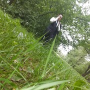 ���� ����� �������, ������ � ������ � ����� � ������� ������