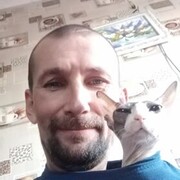 ���������� �����������, ���� ������� �������, 48 ���, ������������ ��� ������, ����� � ���������, c�������� ���������, ���������