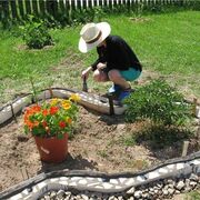 ���������� ������-��-����, ���� ������� ����  �, 65 ���, ������������ ��� ���������