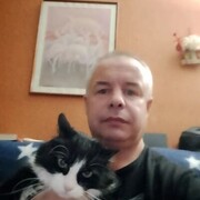 ���������� ������������, ���� ������� ��������, 48 ���, ������������ ��� ����� � ���������, c�������� ���������