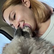 ���������� ������-��-����, ���� ������� �����, 22 ����, ������������ ��� ������, ����� � ���������, c�������� ���������