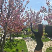 ���������� ���������, ���� ������� ���, 22 ����, ������������ ��� ������, ����� � ���������, ���������