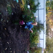 ���������� ������ �����, ���� ������� �������, 61 ���, ������������ ��� ������, ����� � ���������, c�������� ���������