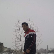 ,   Temurbek, 33 ,   ,   